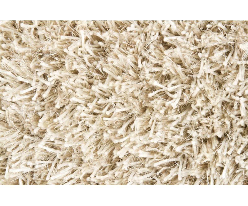Tapis ivoire à poils longs Allegany, 3 pi 11 po x 5 pi 11 po