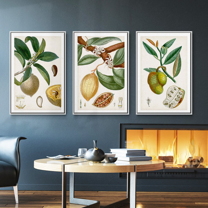 «Turpin Tropical Fruit I», ensemble de 3 toiles encadrées, H 36 po x l 72 po, Blanc