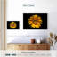 Harnek tournesol sur fond noir-107504438