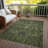 Machine Washable Indoor/Outdoor Chayil ACN1082 Olive Rug-109483891
