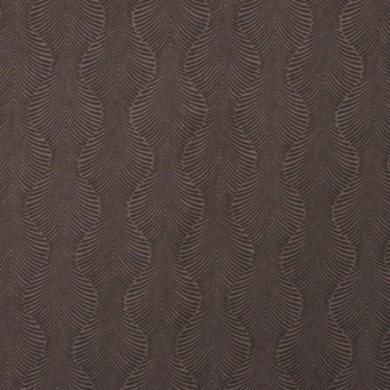 Suite 100% Cotton Fabric, Brown