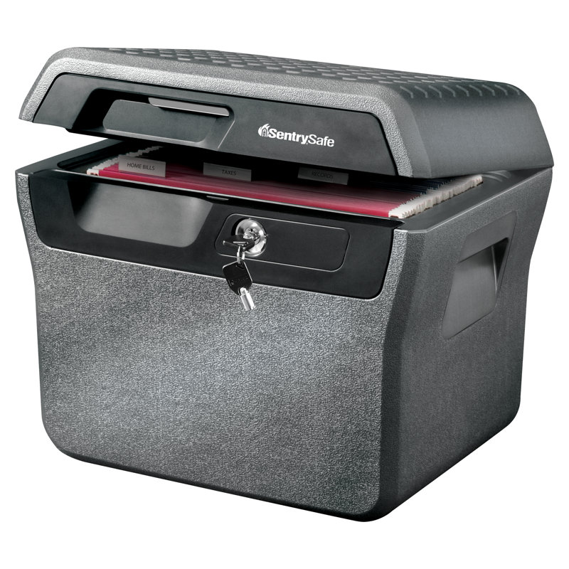 SentrySafe 0.66 Cu. Ft. Fire/Water File Safe with Tubular Key Lock