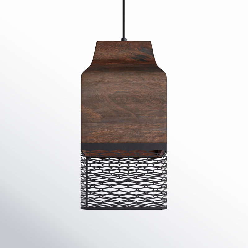 Luminaire suspendu rectangulaire à 1 lumière Drago