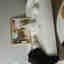 Customer photo 2 of 2