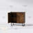Steel 2 - Door Accent Cabinet-1454984424