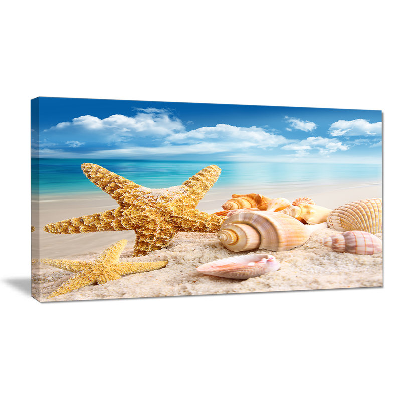 «Starfish and Seashells on Beach», photographie, H 8 po x l 12 po x P 1 po, Toile tendue