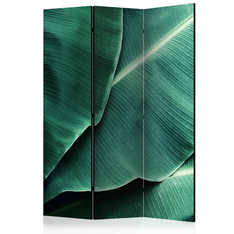 135cm W x 172cm H 3 - Panel Wood Folding Room Divider