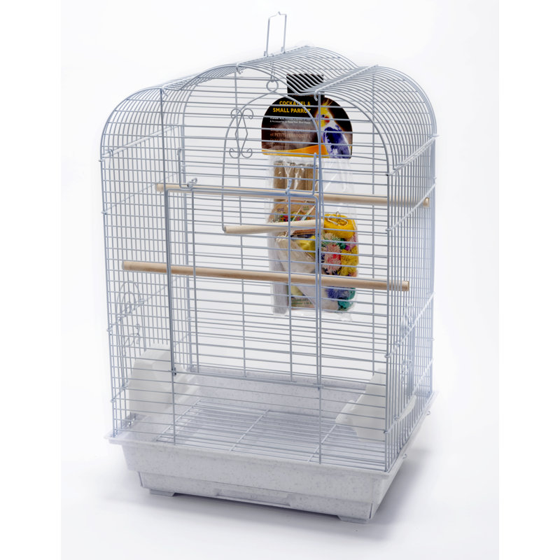 Ensemble de départ pour oiseau moyen festonné