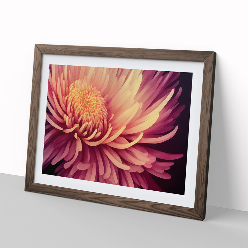 Contemporary Chrysanthemum Flower - Framed Print, 34cm H x 46cm W x 2cm D, Walnut