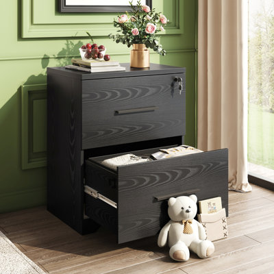 2-Drawer Wood Lateral File Cabinet With Lock For Home Office by Inbox Zero