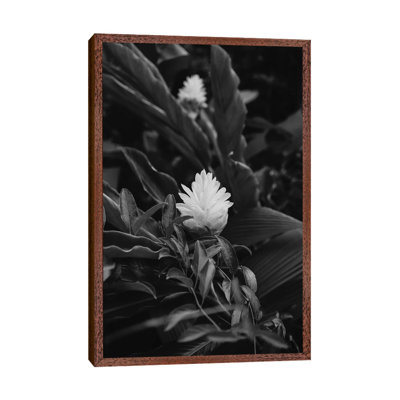 Monochrome Tropical Hawaii 1 Piece Wall Art on Canvas