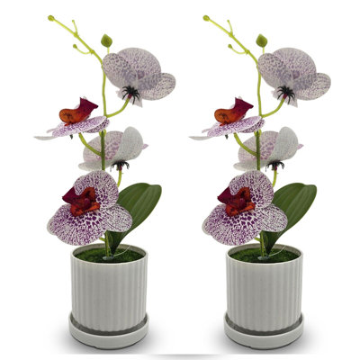 Netzer Hydrangea Arrangement in Vase