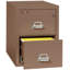 Fireproof 2 - Drawer File Cabinet-331490-12136690-216452