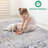 Loom & Collection Area Rug 2X3, /Grey Traditional, Stain Non-Shedding, For Different Rooms, And Pet Covering 2X3 Rug, /Grey, Traditional Design, Stain- Suits All Homes' Areas, Mat