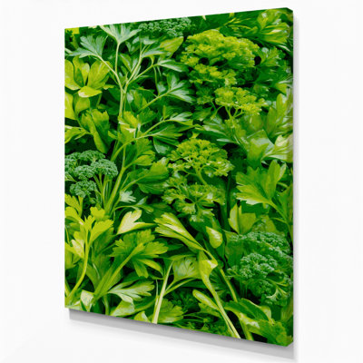 "Watercolor Botanical 66", art mural sur toile verte