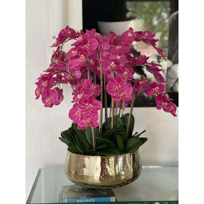 Roberi bowl with multiple stems of white Phalaenopsis orchids, 38" H x 22" W x 22" D, Pink