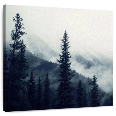 Alvord Forest I