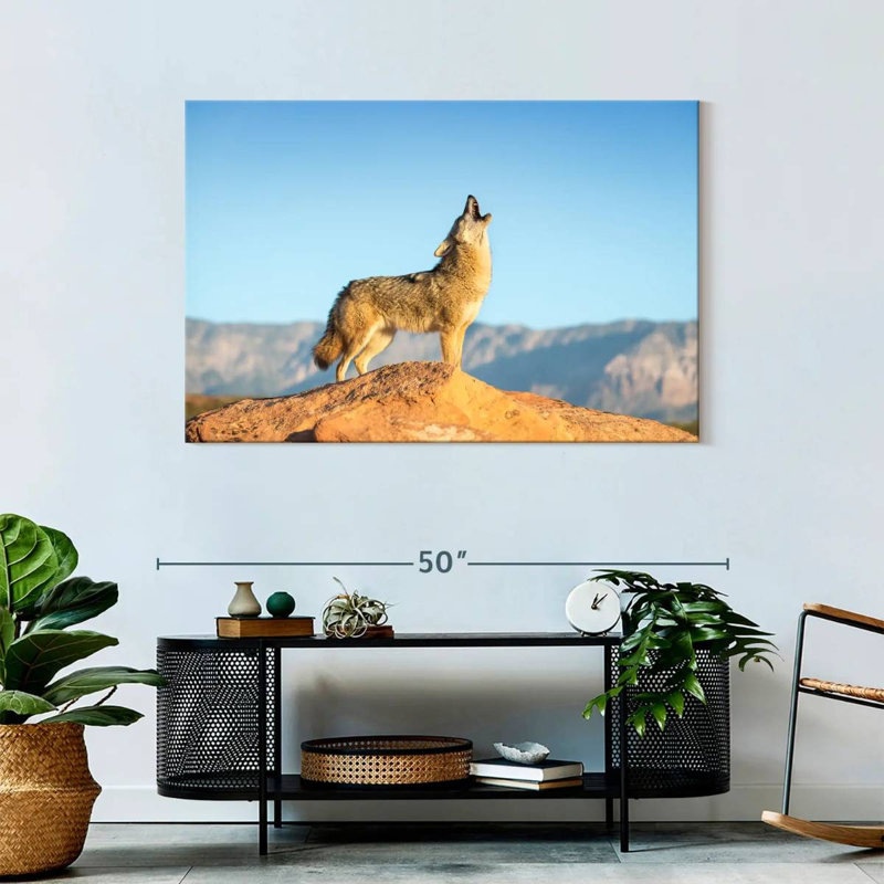 Brampt Howling Coyote, 30'' H x 45'' W