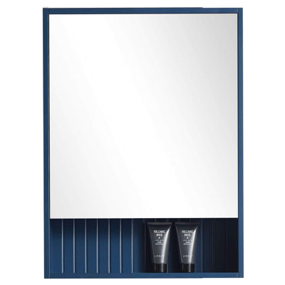 Asahel W 30'' H Surface Framed Medicine Cabinet Mirror 2 Fixed