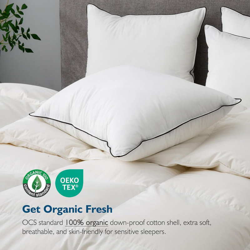 Xavier 100% Organic Cotton King Size Soft-Medium Support Goose Feather Down Pillows, King