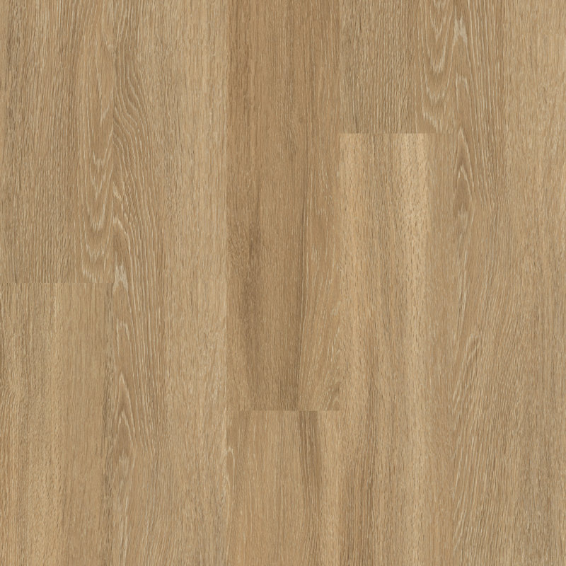 Centennial 6" x 48" x 2mm Oak Glue Down Luxury Vinyl Plank, Dignified