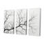 «Monocrhome Sycamore Tree Solitude», ensemble d'art mural sur toile Sycamore-107765040-107765045