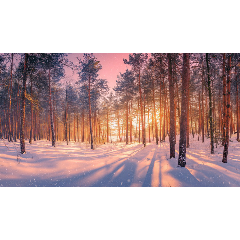 «Golden Winter Sunrise - Snowy Forest Landscape», art mural sur toile tendue, H 24 po x l 42 po