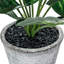 Fausse plante 15 '' Philodendron Taro en pot
