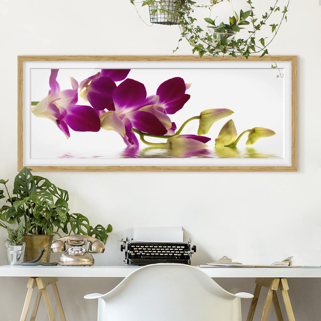 Gerahmtes Poster Pink Orchid Waters