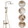 Complete Shower System with Rough-in Valve