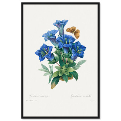 Art Remedy, reproduction d'art sur toile, Gentiana Acaulis par Pierre-Joseph