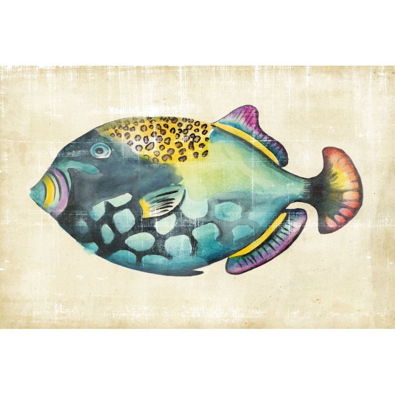 Aquarium Fish IV by Chariklia Zarris - Painting, 20cm H x 30cm W, Wrapped Canvas