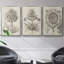 Fresco Crown Imperial II 3 pièces-97795117-97795111