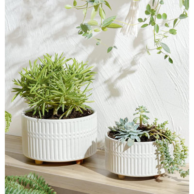 Ceramic Pot Planter
