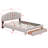 Ashiley Upholstered Panel Storage Bed-1691438781