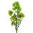 Vert rouge