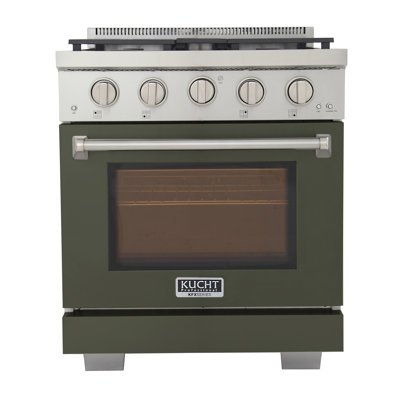 30 in. 4.2 cu. ft. Natural Gas Range and Convection Oven in Light Blue with True Simmer Burners