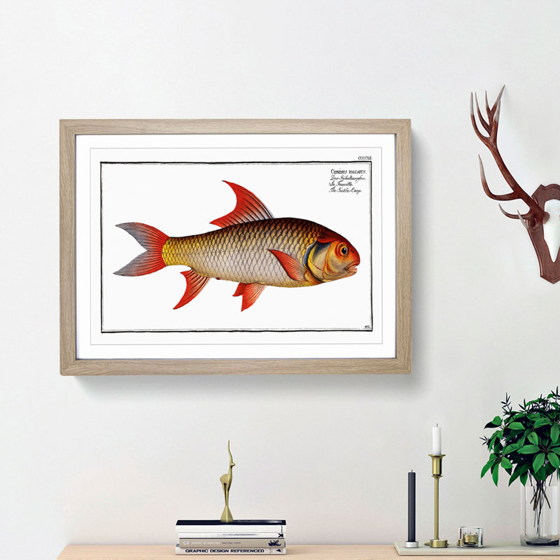 Sickle-Carp Fish by M.E. Bloch - Picture Frame Painting Print, 27cm H x 36cm W x 2cm D, Oak Framed