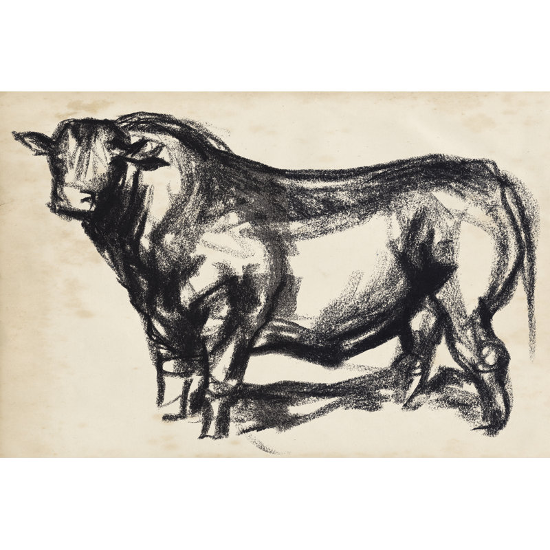 Black Angus II by Jennifer Paxton Parker - Painting, Wrapped Canvas, 30cm H x 46cm W