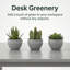 Ensemble de 3 plantes grasses artificielles de 5,7 po de hauteur en pots de ciment gris, décoration de table d'intérieur