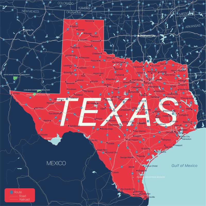 Anita Texas State - Wrapped Canvas Print, 30cm H x 30cm W x 3.8cm D