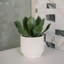 Artificial Succulent Plant Set in Stone Pots, Luxury 2-Pack