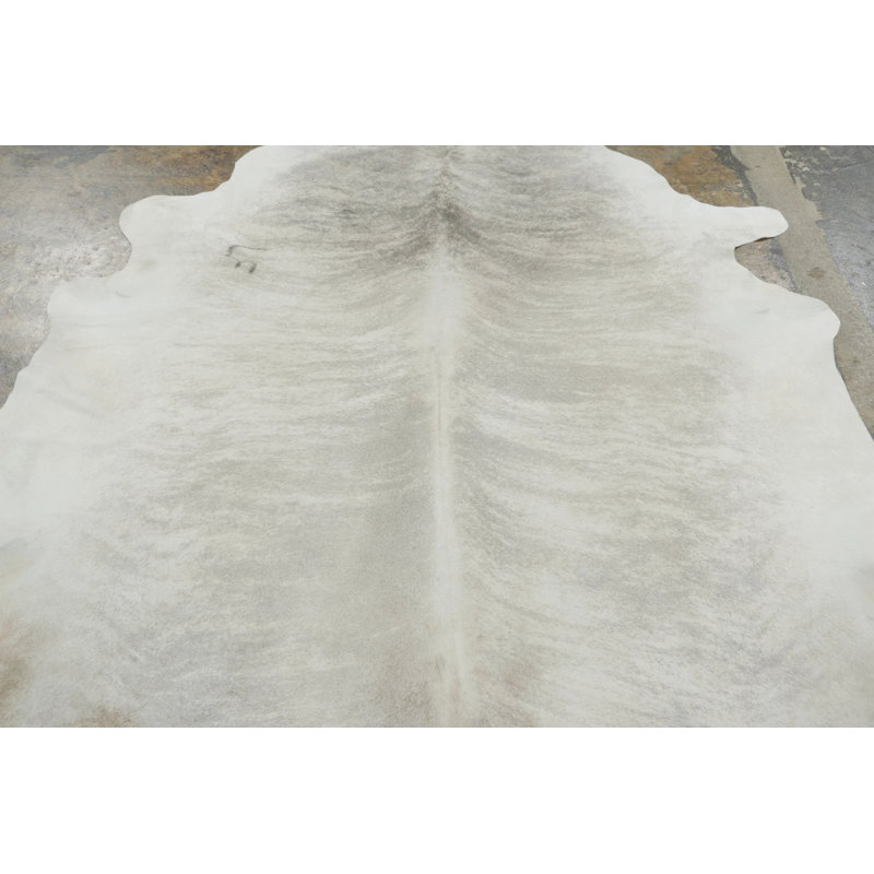 Modern Area Rug