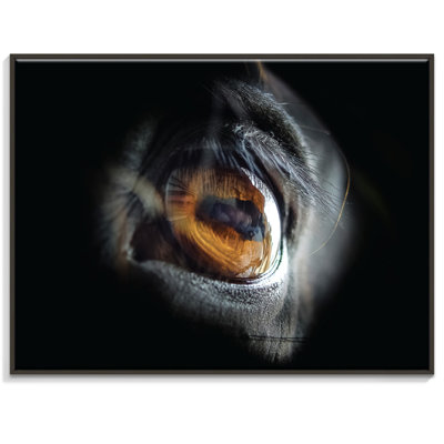 Print on Canvas