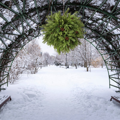 24" Natural Touch Mix Evergreen Kissing Ball