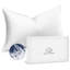 Oreillers luxueux en duvet d'oie 100% naturel haut de gamme-870815145
