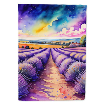 Double Sided 40'' H x 28'' W Polyester House Flag