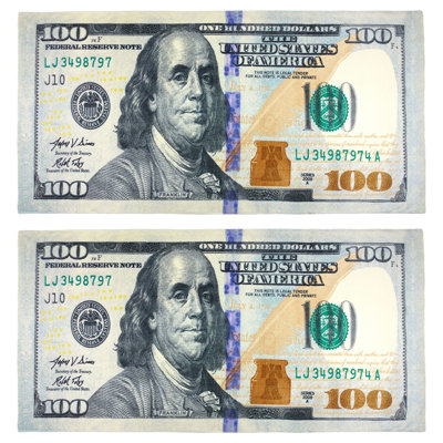 Kaufman 100 Dollar Bill Beach Towels | 100% Cotton Pool Towels 30"x60"