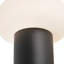 Lampe portable d'extérieur à DEL 8 po Shilo-368223396