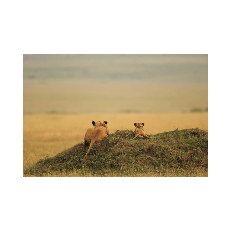 One Day It Will Be Yours by Massimo Mei - Wrapped Canvas Print, 66.04 cm H x 45.72 cm W x 1.91 cm D